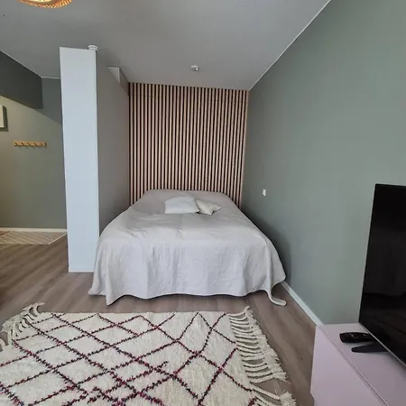 Cozy In & Free E-parking Apartment